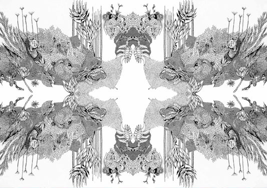 B&W Fabric