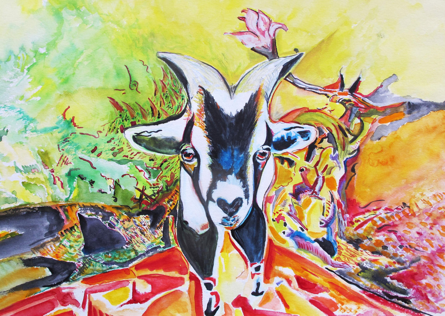 mountain goat pr-ntr original watercolour art